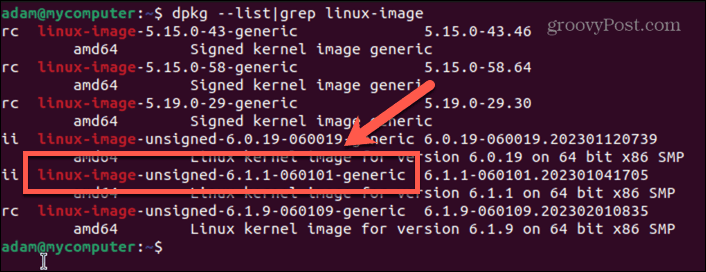 nome dell'immagine del kernel di ubuntu
