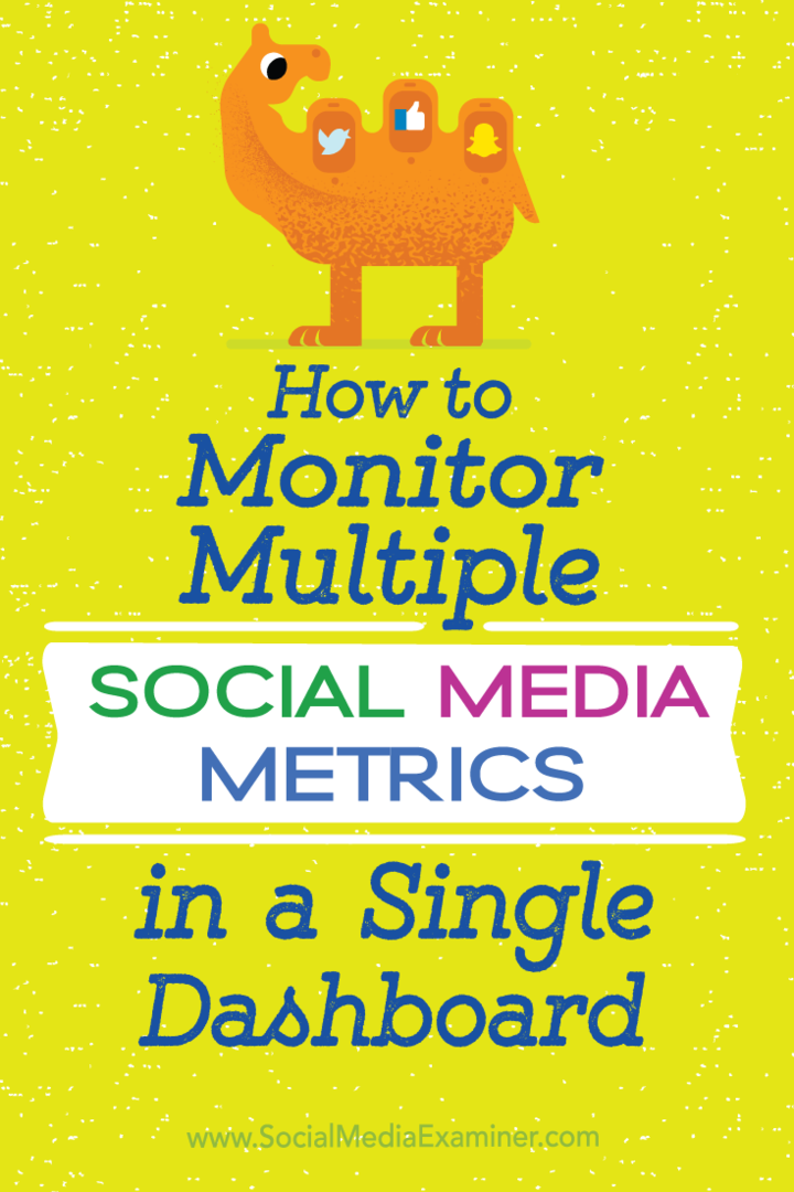 Suggerimenti su come monitorare le metriche chiave dei social media per la tua attività in un'unica dashboard.