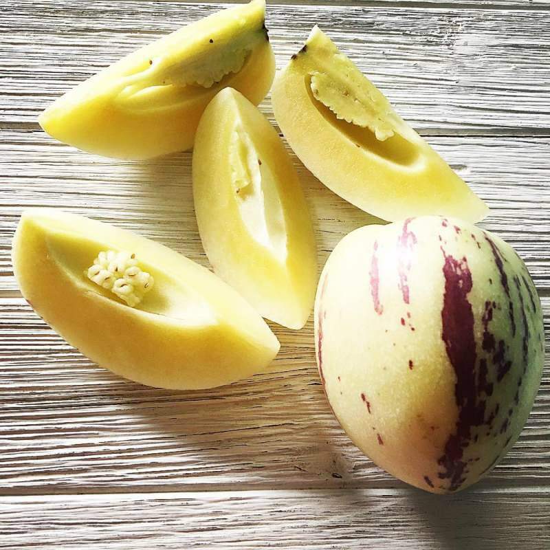 il frutto del pepino è ricco di vitamina C.