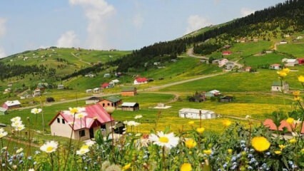 Come andare sull'altopiano di Ağrı Miraşe?
