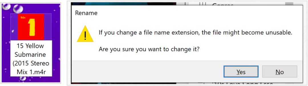 Windows conferma la modifica dell'estensione del file