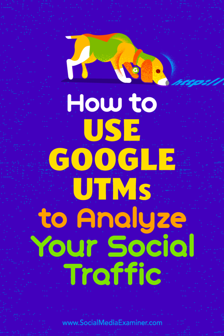 Come utilizzare gli UTM di Google per analizzare il traffico sui social di Tammy Cannon su Social Media Examiner.