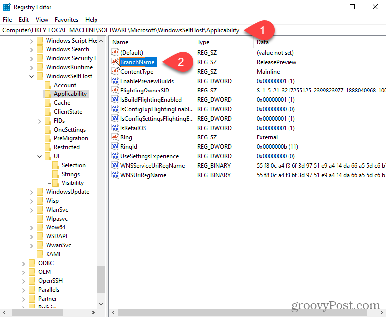 Fare doppio clic sulla chiave BranchName nel registro di Windows