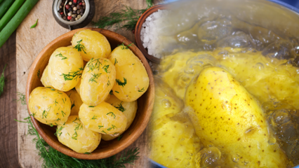 Come viene bollita la patata? Le punte delle patate bollite