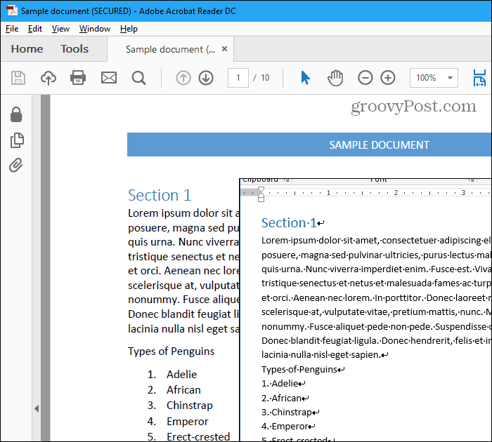 File PDF e file Word