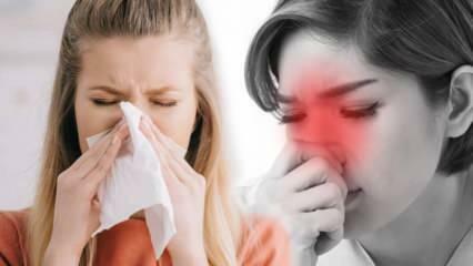 Cos'è la rinite allergica? Quali sono i sintomi della rinite allergica? Esiste una cura per la rinite allergica?