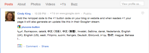 aggiornamento dello snippet di Google +1