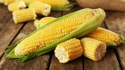 Quali sono i danni del mais?