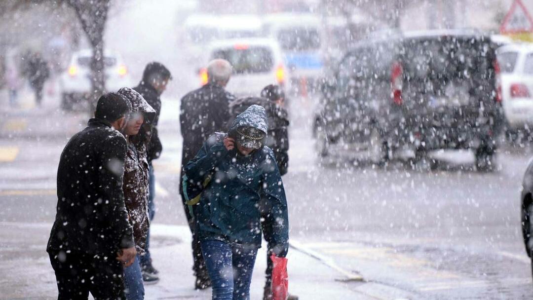 Cos'è l'inverno di El Nino? Quando arriverà l'inverno di El Nino? L'inverno del 1987 è tornato!