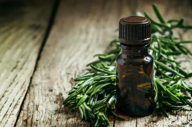 l'olio dell'albero del tè è usato per curare l'acne e le imperfezioni