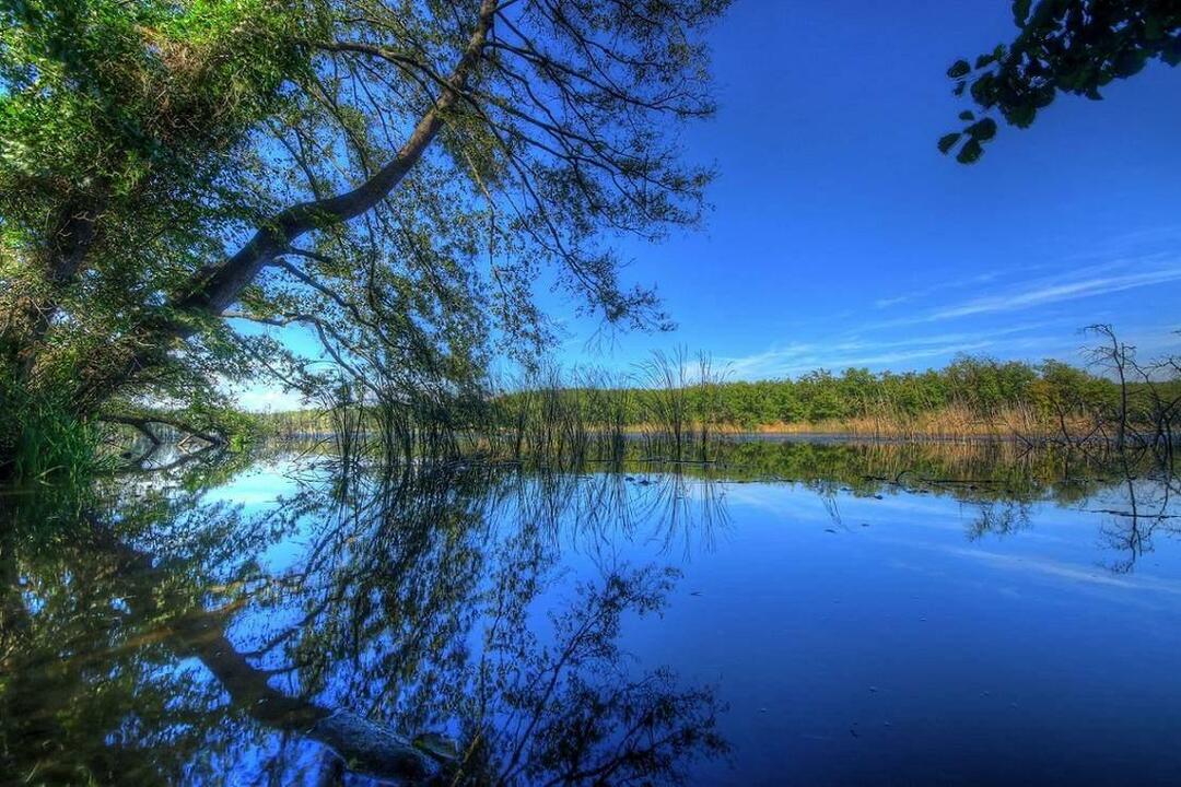 Foto del Parco forestale di Igneada Longoz