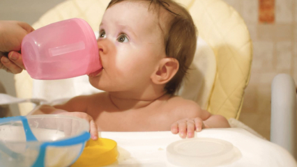 Quando viene data l'acqua ai bambini? Un bambino allattato con latte artificiale può ricevere acqua durante il passaggio al cibo complementare?