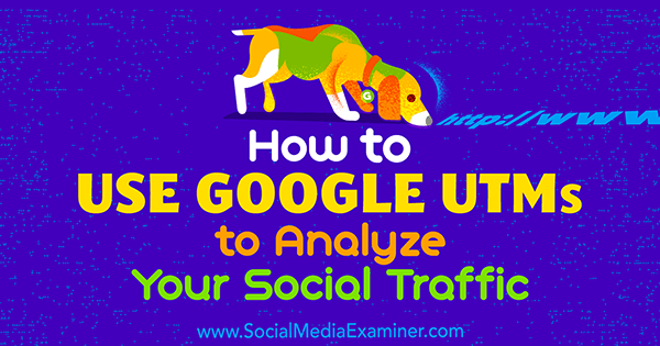Come utilizzare gli UTM di Google per analizzare il traffico sui social di Tammy Cannon su Social Media Examiner.
