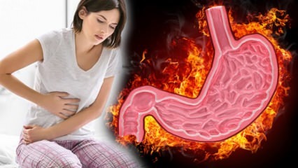 Che cos'è la gastrite? Quali sono i sintomi della gastrite e hanno un trattamento? Cosa fa bene alla gastrite?
