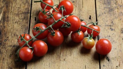 Come prevenire il marciume del pomodoro? Come prevenire la falena del pomodoro? 