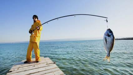 Come si pesca? Quali sono i trucchi della pesca con una canna da pesca?