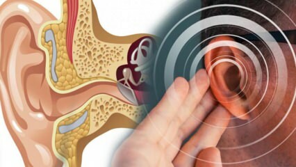 Malattia dell'orecchio: cosa causa menier? Quali sono i sintomi di Meniere? C'è una cura?