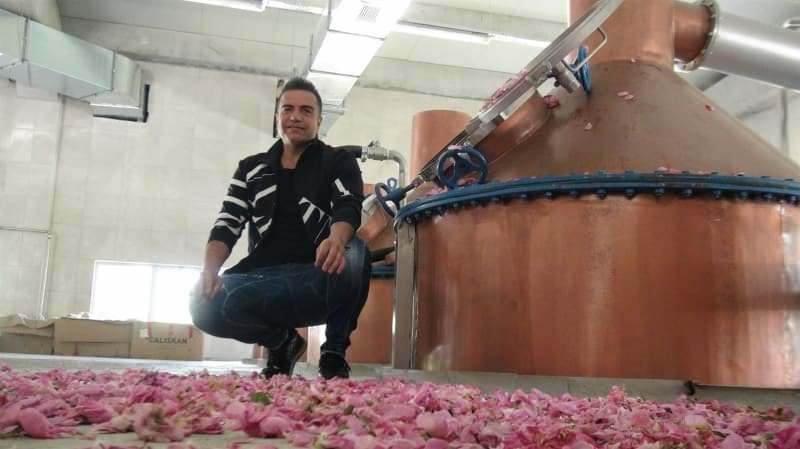 berdan mardini stabilì una fabbrica di olio di rose nella sua città natale