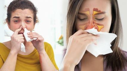 Cosa fa bene alla congestione nasale? Una soluzione senza farmaci per la congestione nasale!