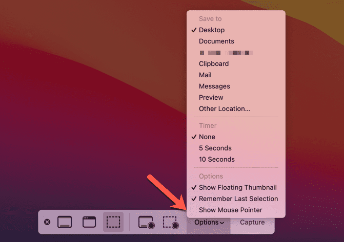 Opzioni della barra degli screenshot del Mac
