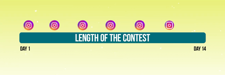 grafico raffigurante la cronologia dei post promozionali per il concorso Instagram