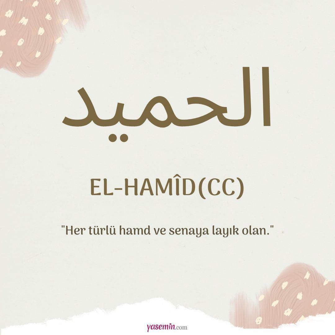 Cosa significa al-Hamid (cc)?