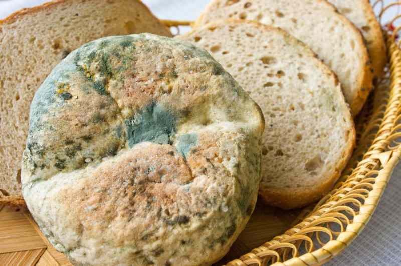 Modi per evitare che il pane diventi raffermo e ammuffito