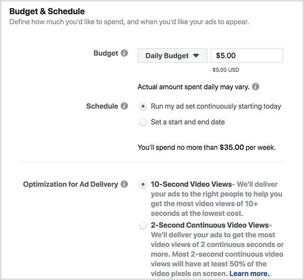 Il budget pubblicitario di Facebook e le opzioni di pianificazione includono un budget giornaliero e visualizzazioni di 10 secondi.