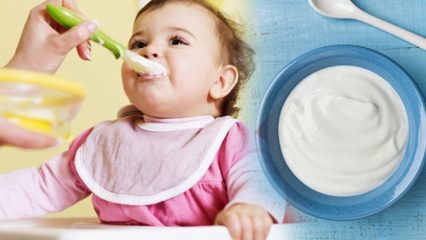 Come fare lo yogurt per i bambini? Ricette di yogurt alla frutta fatti in casa per bambini