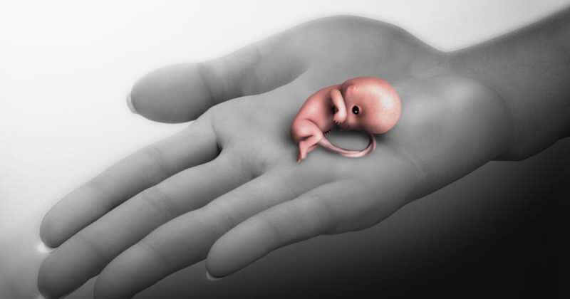 Che cos'è un aborto? Sintomi di aborto spontaneo durante la gravidanza