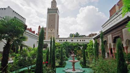 Moschee e monumenti islamici d'Europa: itinerari turistici per famiglie conservatrici