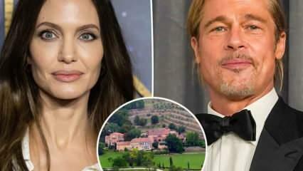 Brad Pitt Jolie nel caso del castello di Miraval trasformato in una storia di serpenti
