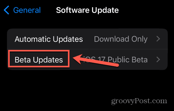 aggiornamenti beta iphone