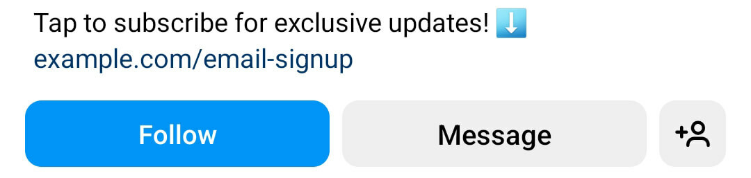 come-aggiungere-un-e-mail-opt-in-form-link-nel-tuo-instagram-bio-direct-link-input-url-optional-title-call-to-action-cta-follow-example- 2