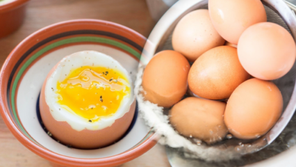 Quali sono i vantaggi di un uovo sodo? Se mangi due uova sode al giorno ...