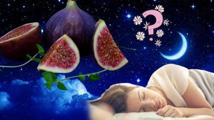 Cosa significa vedere un albero di fico in sogno? Cosa significa sognare di mangiare fichi? Raccogliere fichi da un albero in un sogno