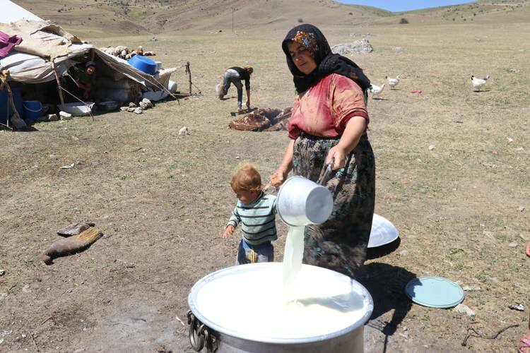 Impegnativo viaggio "latte" delle donne nomadi sugli asini!