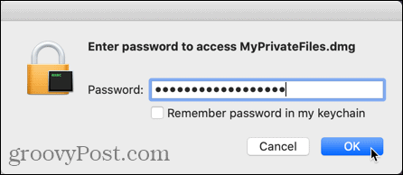 Immettere la password per aprire il file immagine disco