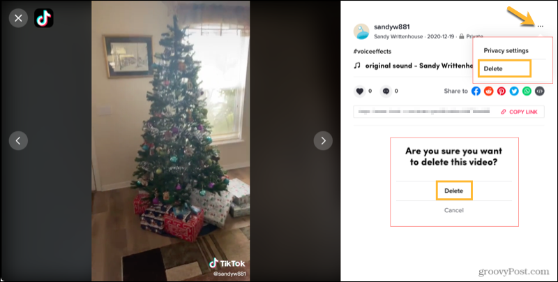 Elimina un video condiviso sul sito TikTok