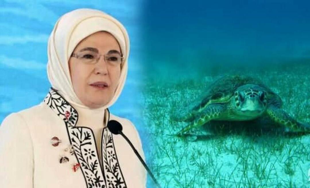 Condivisione della "tartaruga marina" di Emine Erdoğan: "Finché le proteggiamo, continueranno a vivere"