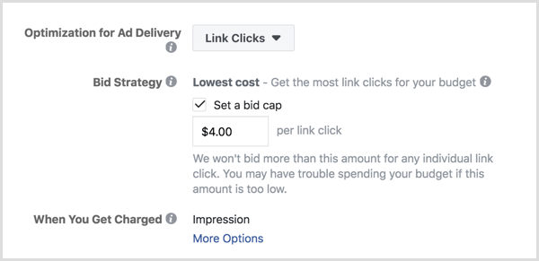 Imposta il limite di offerta per gli annunci di Facebook.