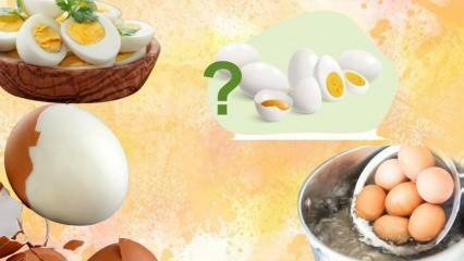 Dieta a base di uova sode! L'uovo ti sazia? 12 chili in una settimana 