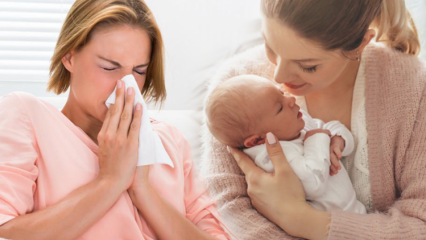 Come passa l'influenza nelle madri che allattano? Le soluzioni a base di erbe più efficaci per l'influenza alle madri che allattano