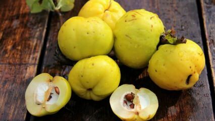 Quali sono i benefici della mela cotogna? Come preparare il tè con foglie di mela cotogna e cosa fa?