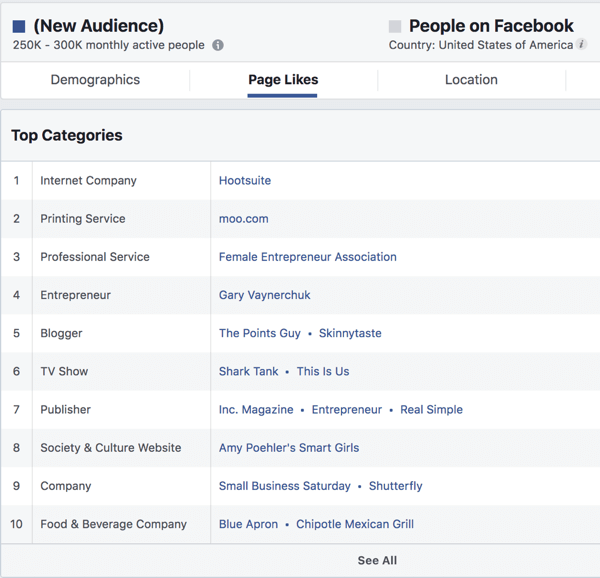 Pagina Mi piace per un pubblico basato sugli interessi in Facebook Ads Manager.