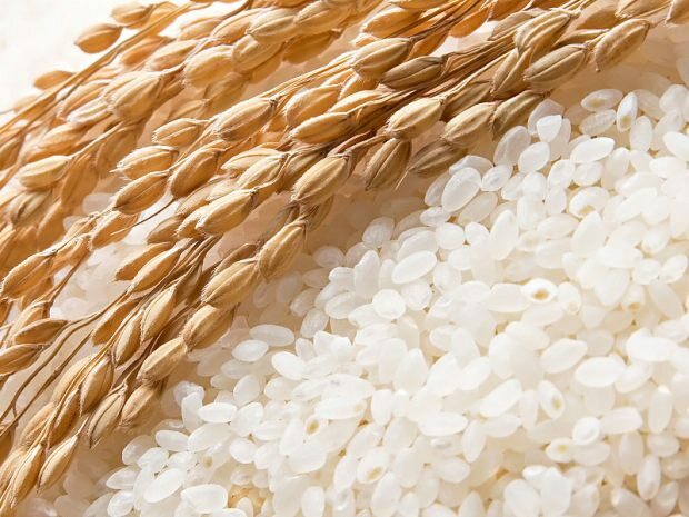 pilaf di riso
