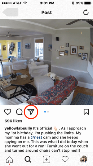 Se Nest volesse contattare questo utente di Instagram per ottenere l'autorizzazione a utilizzare i suoi contenuti, potrebbe avviare la comunicazione toccando l'icona del messaggio diretto.