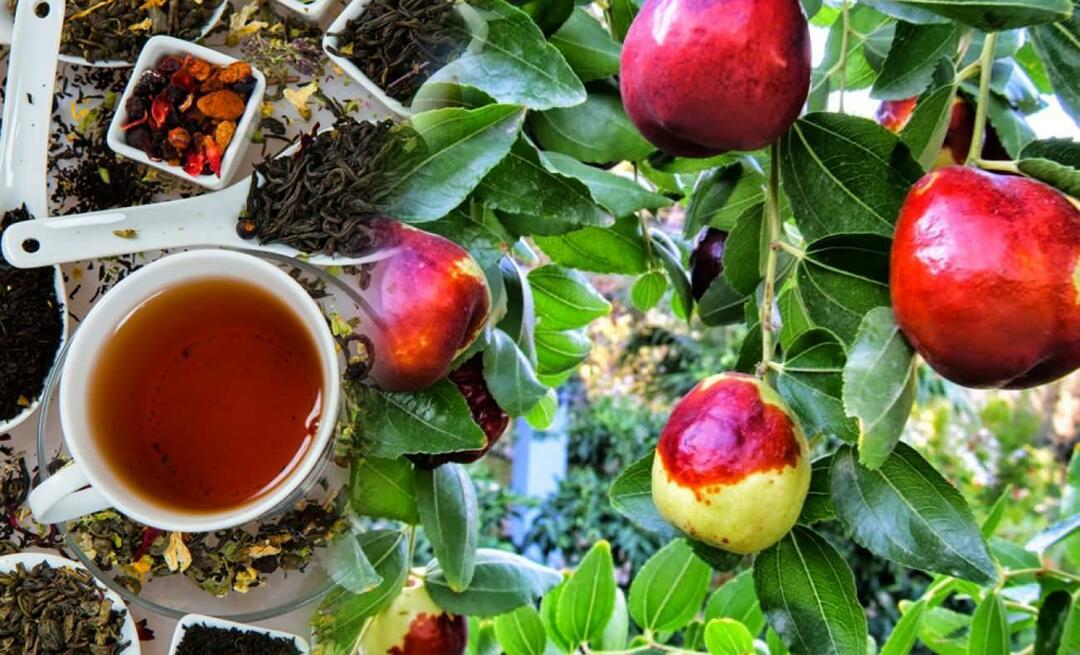 Quali sono i benefici del tè alla giuggiola raccomandato da Ibn Sina? A cosa serve il tè alla giuggiola?