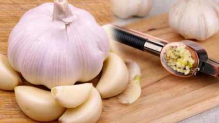 Mangiare l'aglio lo rende debole? Il metodo che accelera il metabolismo! Benefici dell'aglio
