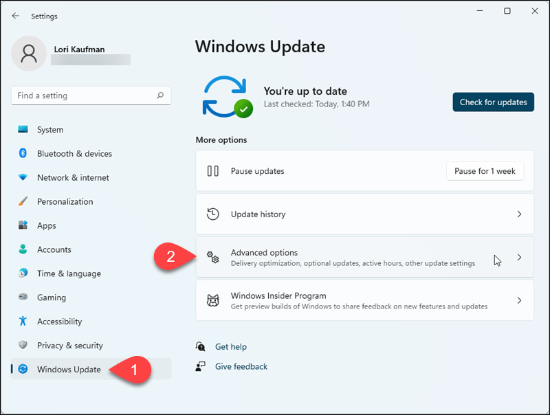 Vai su Windows Update > Opzioni avanzate nelle Impostazioni di Windows 11